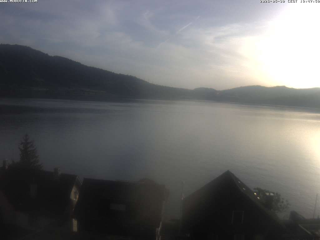 Walchwil › Westen