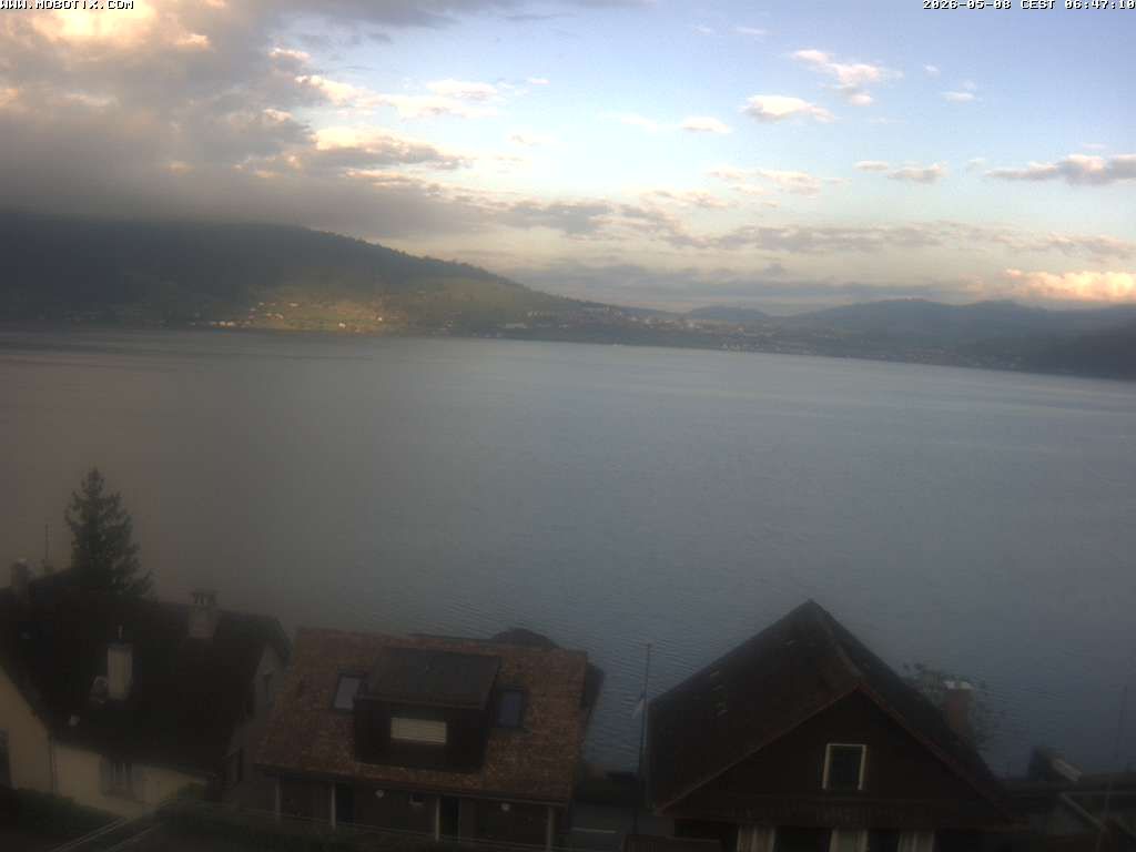 Walchwil › Westen