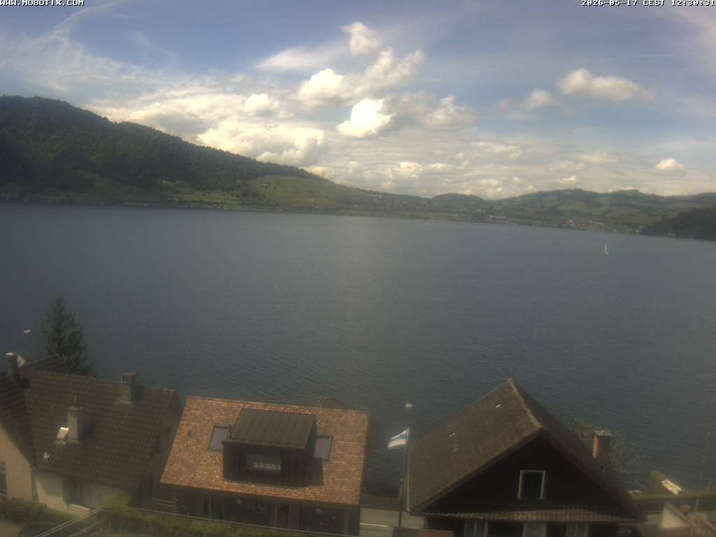 Walchwil › Westen