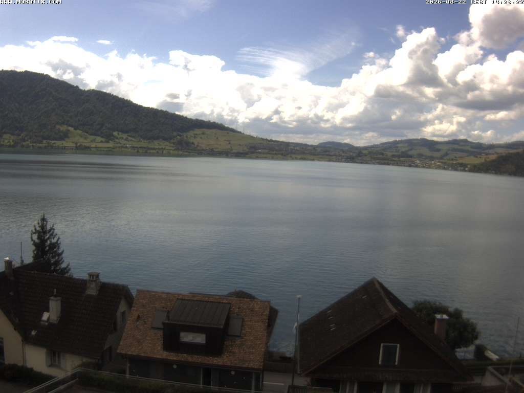 Walchwil › Westen