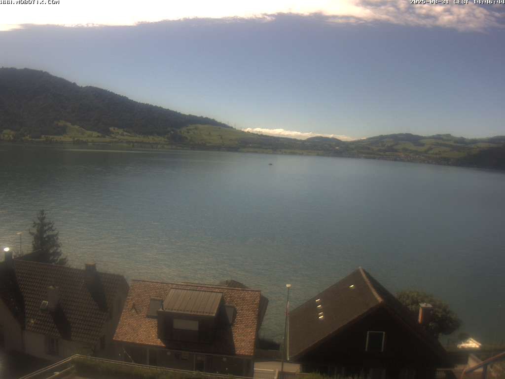 Walchwil › West