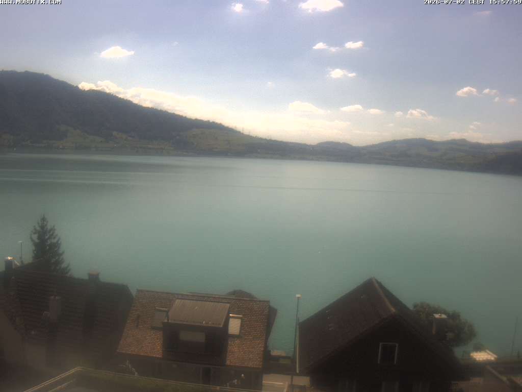 Walchwil › Westen