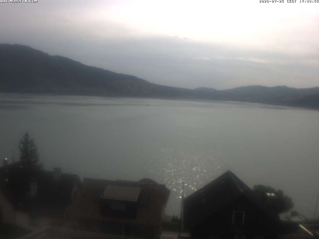 Walchwil › Westen