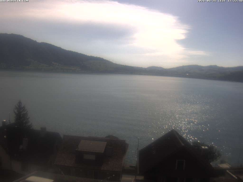 Walchwil › Westen