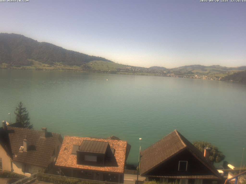 Walchwil › West