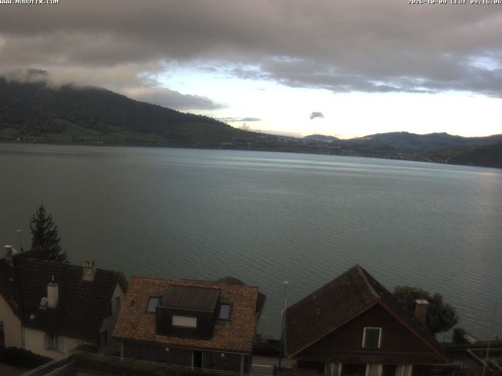 Walchwil › Westen