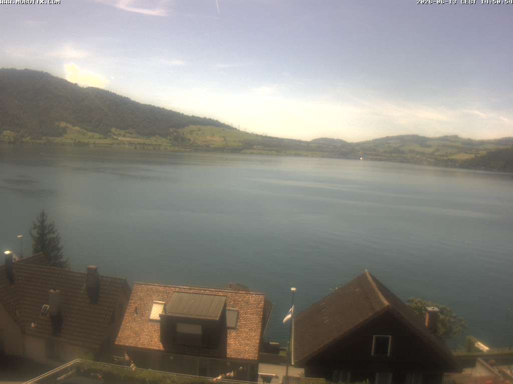Walchwil › Westen