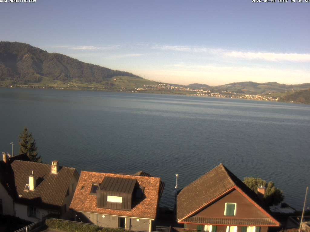 Walchwil › Westen