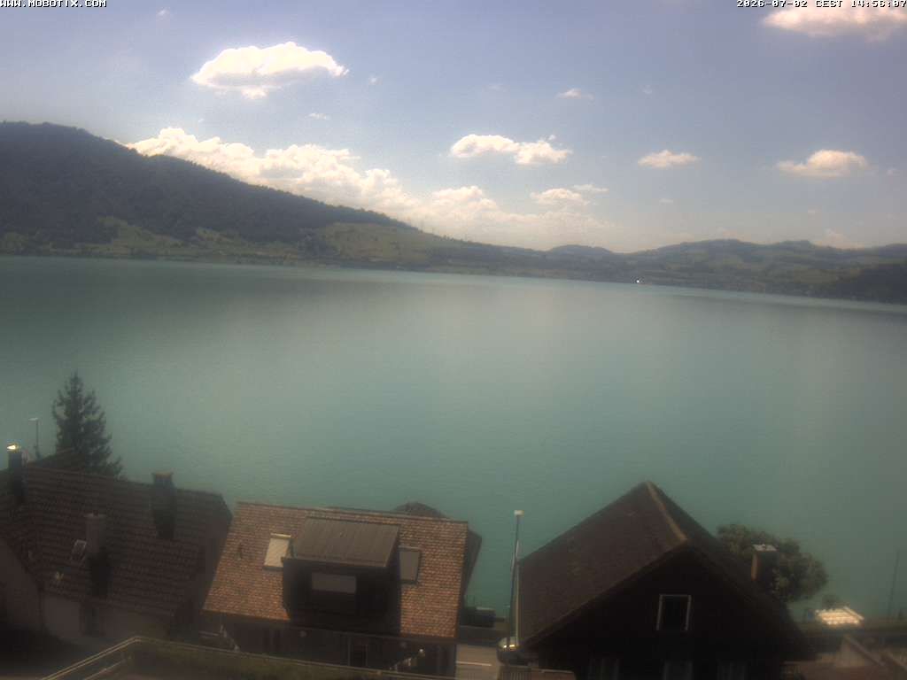 Walchwil › Westen