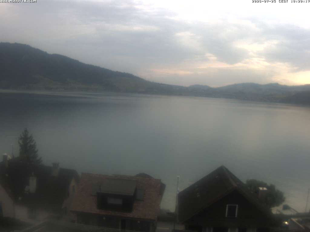 Walchwil › Westen