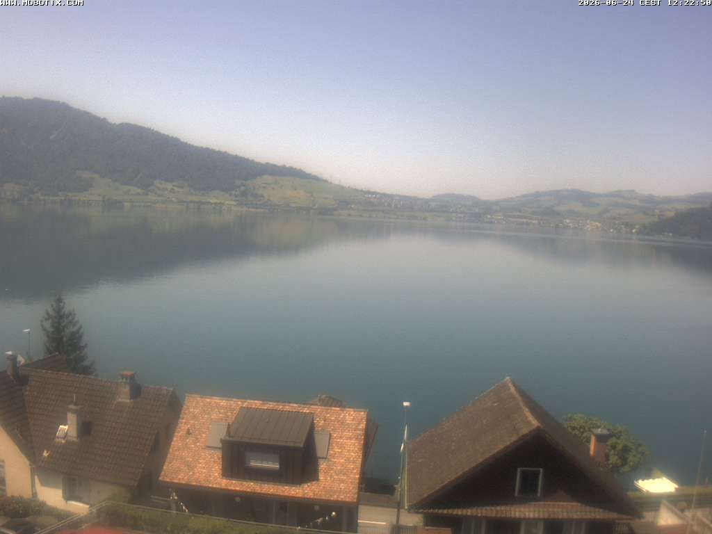 Walchwil › Westen