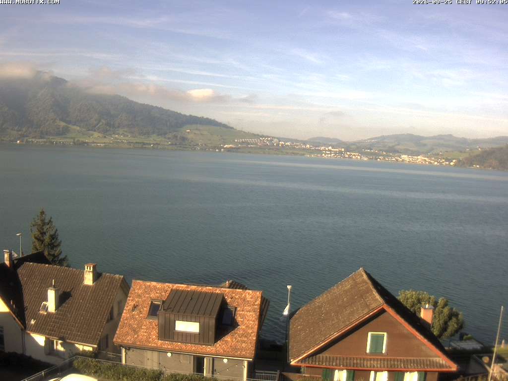 Walchwil › Westen