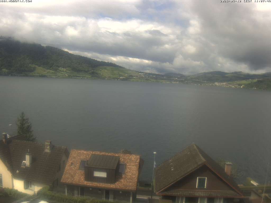 Walchwil › Westen