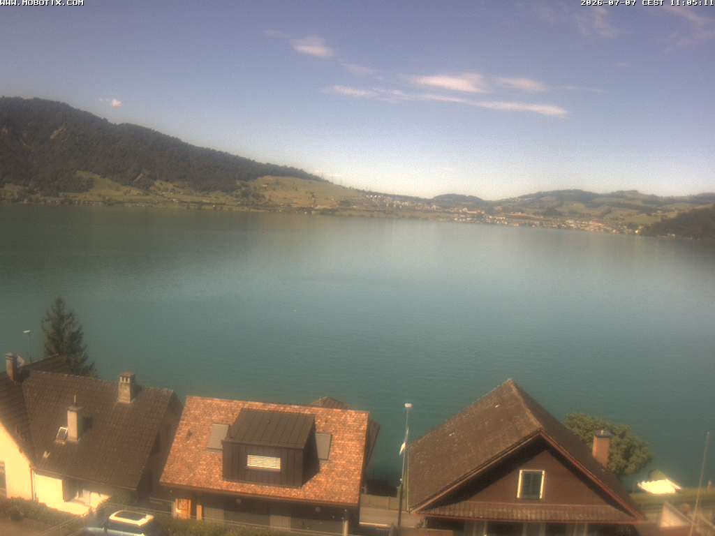 Walchwil › Westen