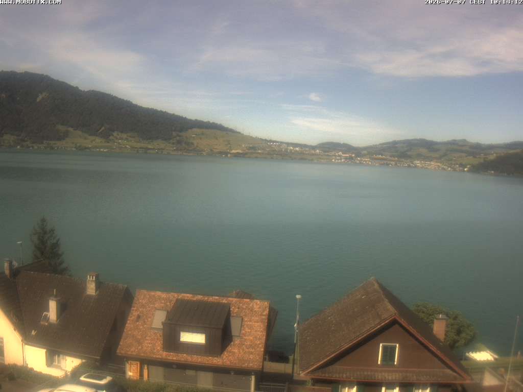 Walchwil › Westen