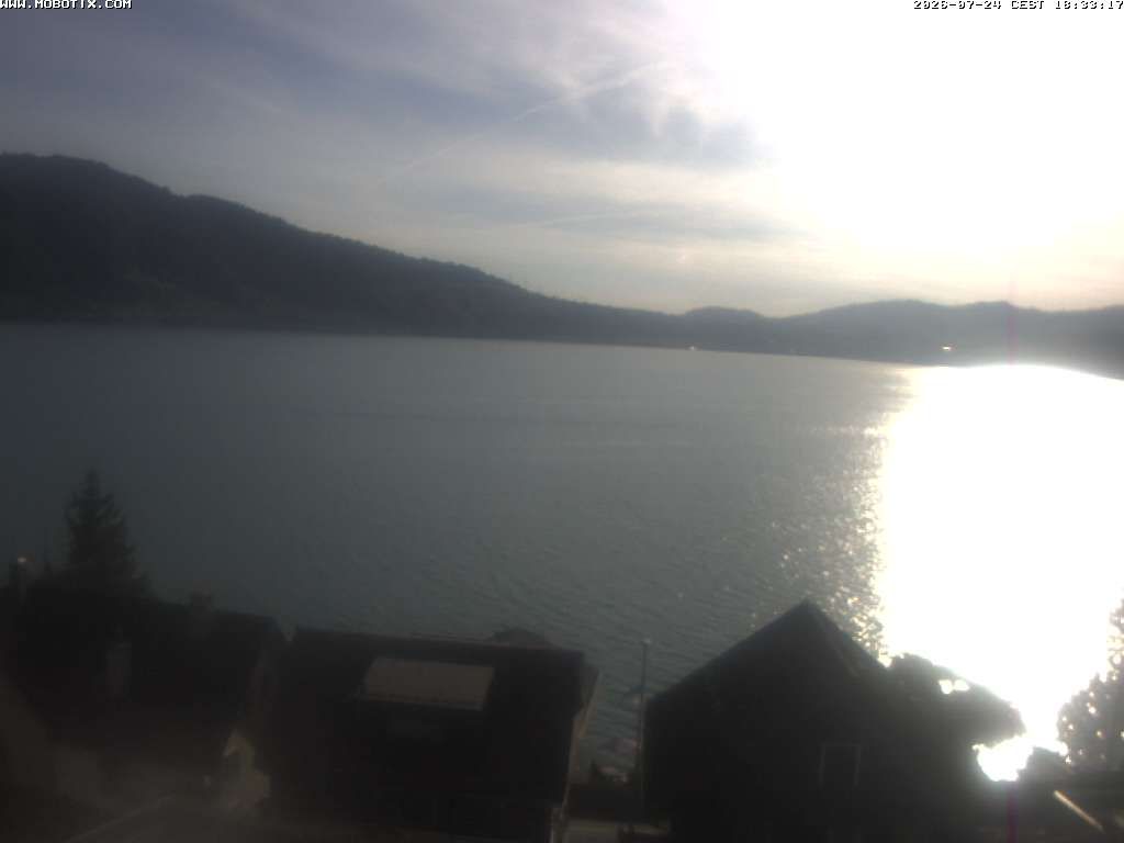 Walchwil › Westen