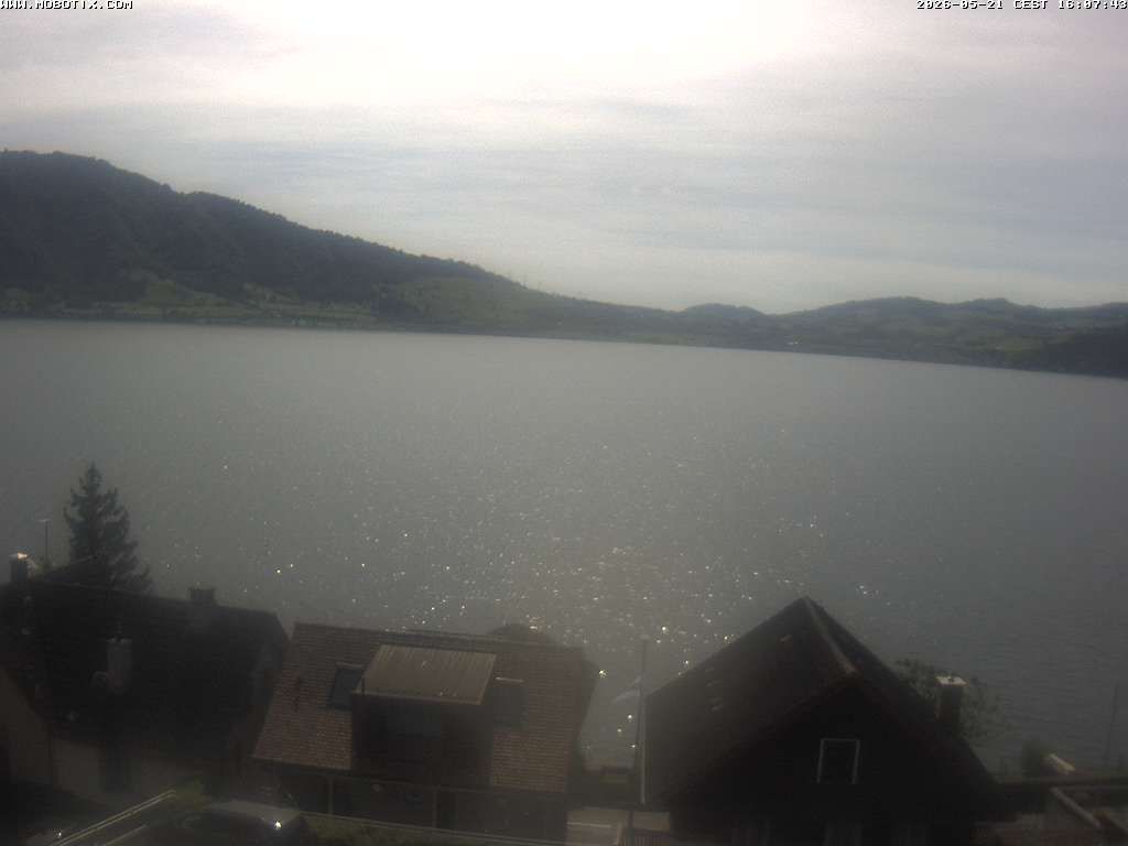 Walchwil › Westen