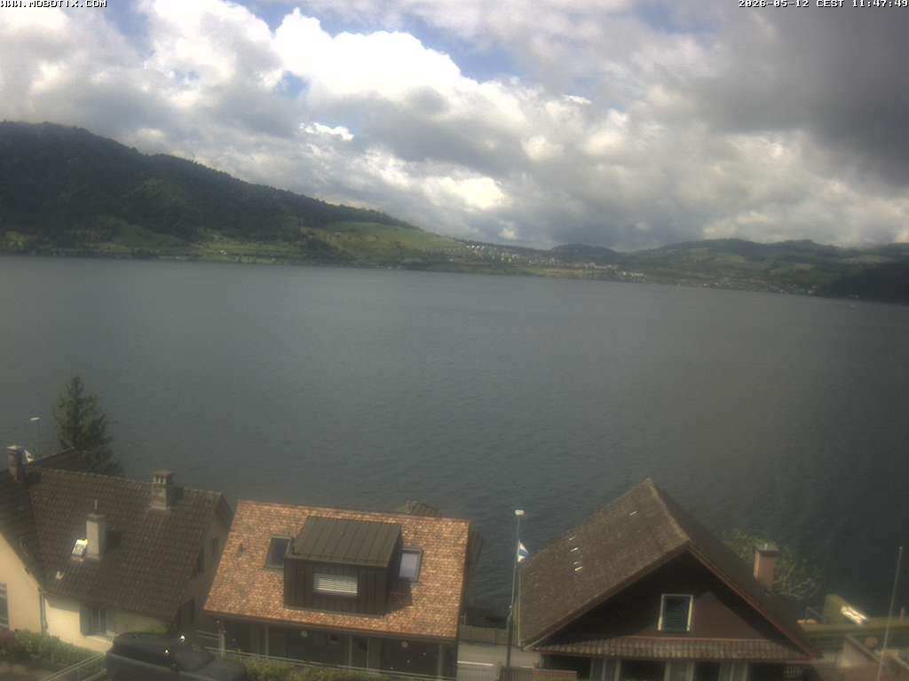 Walchwil › Westen