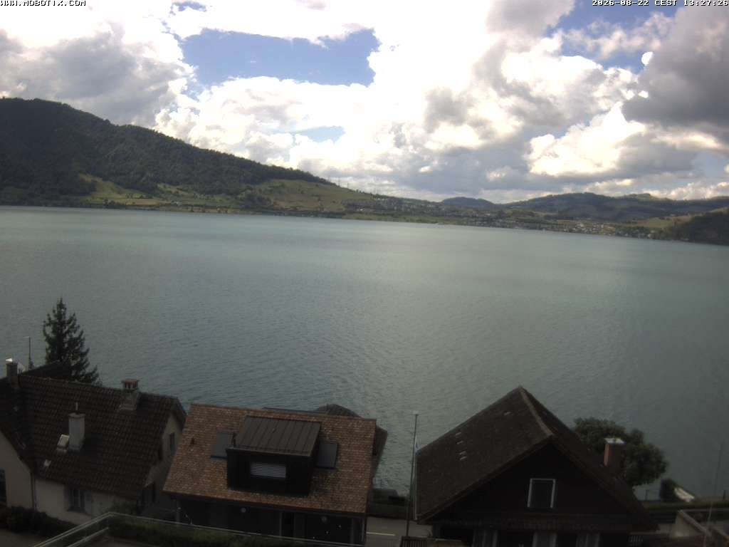 Walchwil › Westen