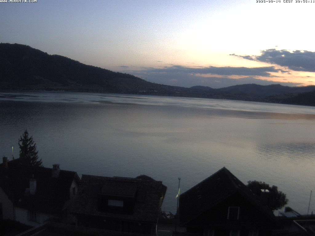 Walchwil › Westen