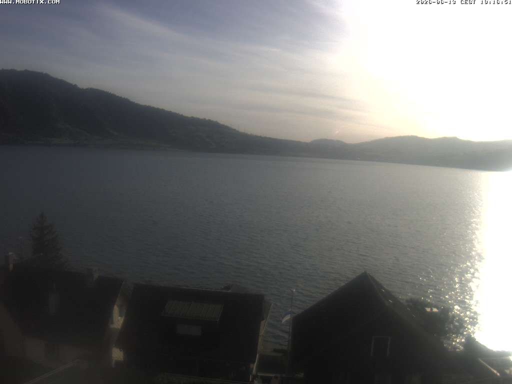 Walchwil › Westen