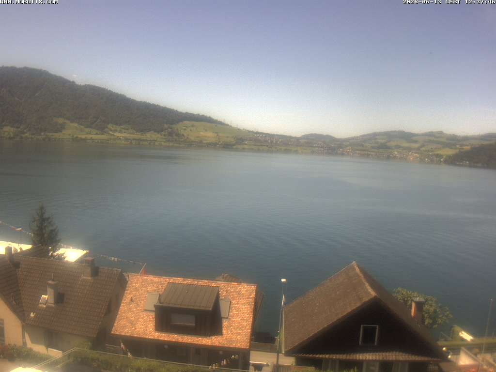 Walchwil › Westen