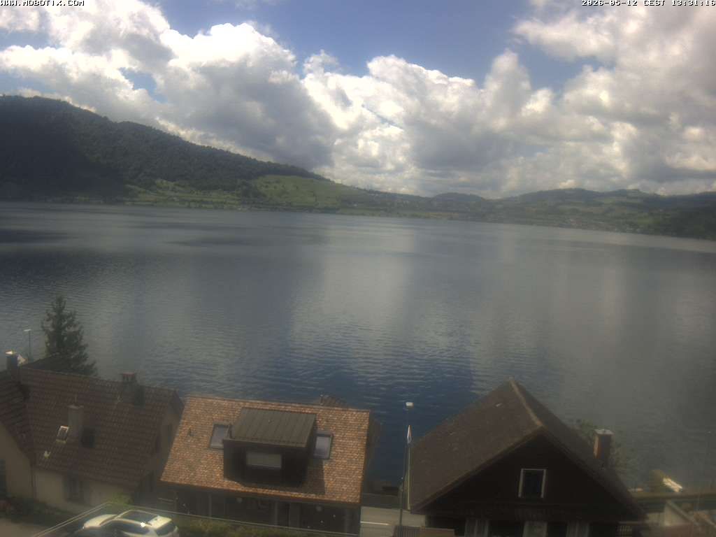 Walchwil › Westen