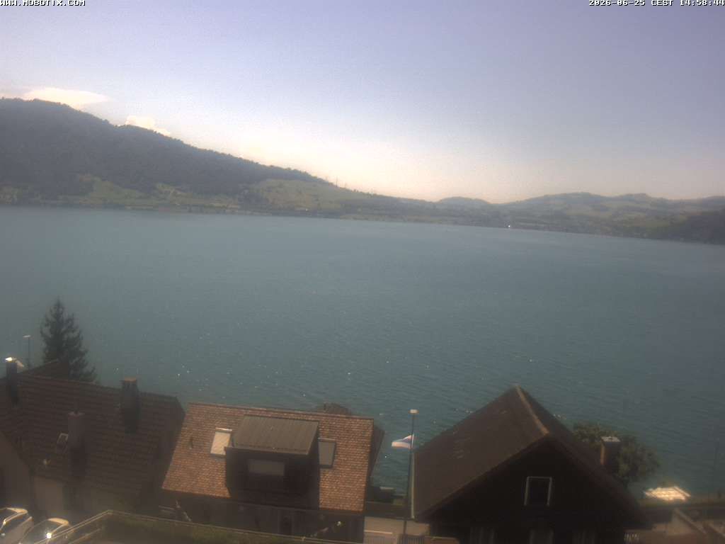 Walchwil › Westen