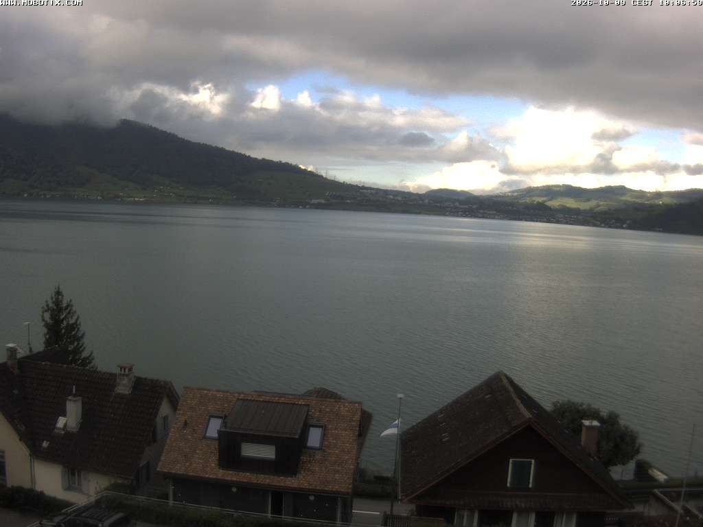 Walchwil › Westen