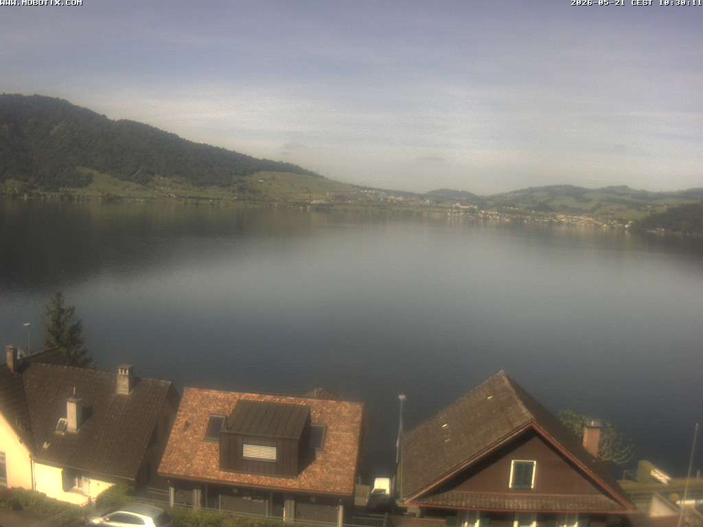 Walchwil › Westen