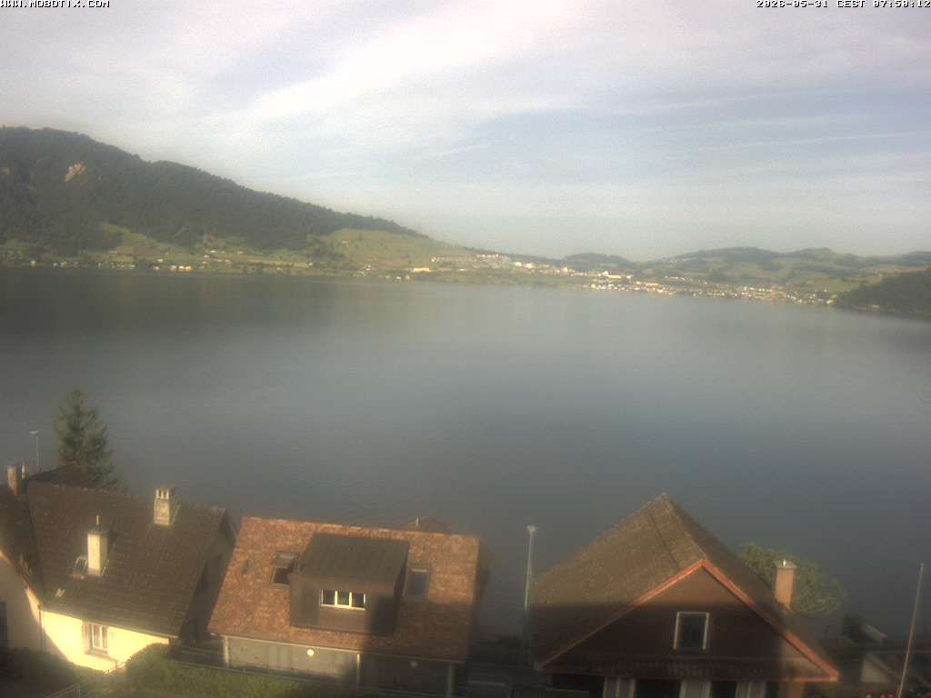 Walchwil › Westen