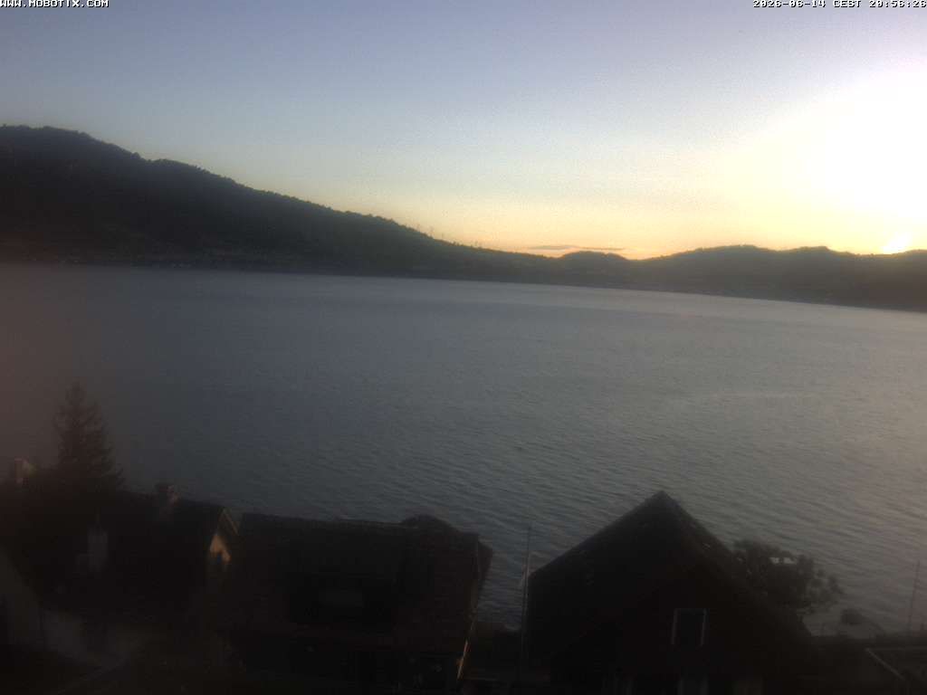 Walchwil › Westen