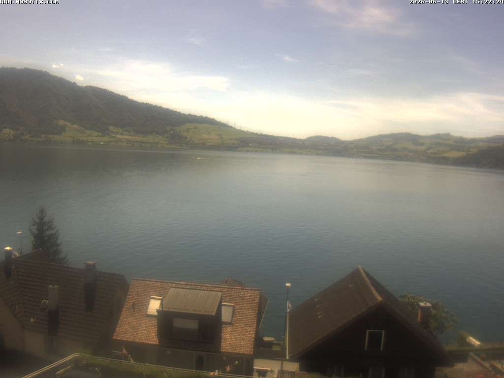 Walchwil › Westen
