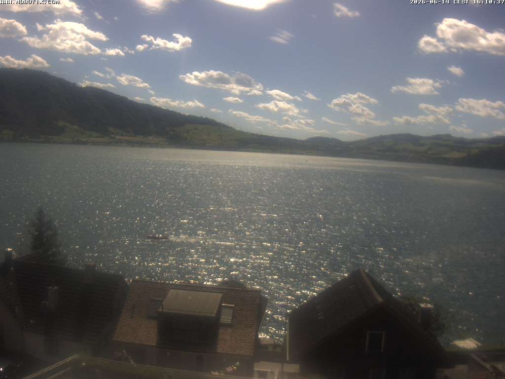 Walchwil › Westen