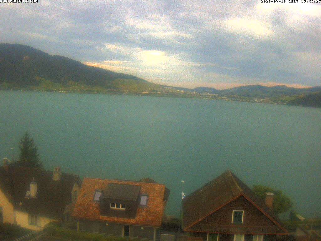 Walchwil › Westen