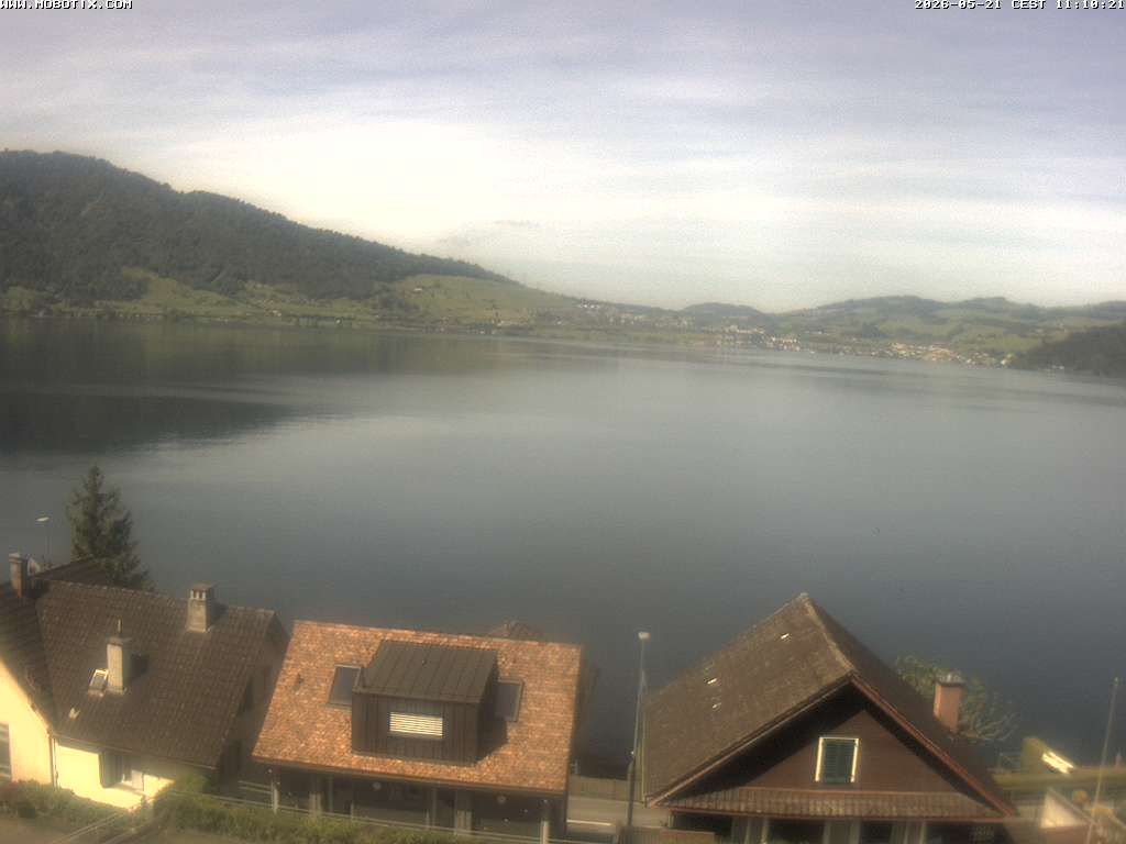 Walchwil › Westen
