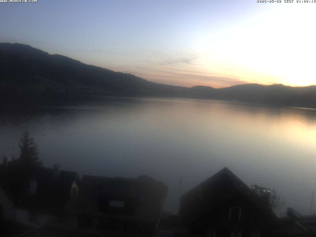 Walchwil › Westen