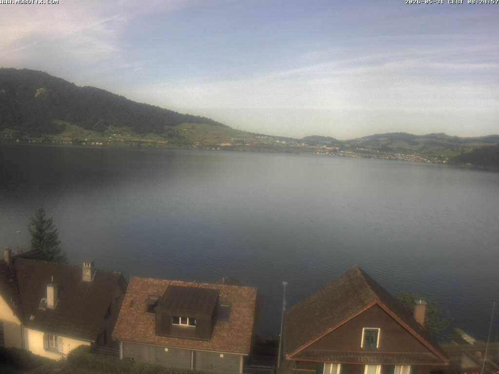 Walchwil › Westen