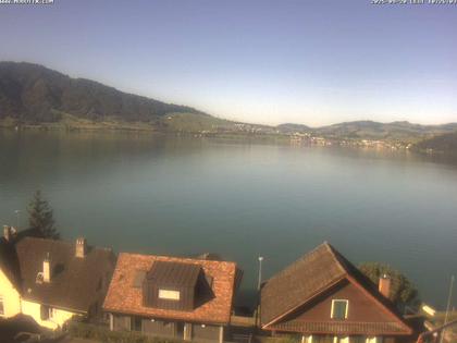 Walchwil › West