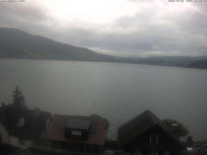 Walchwil › West