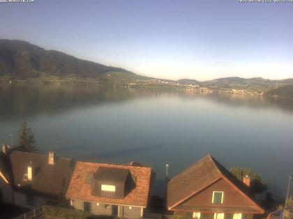 Walchwil › West