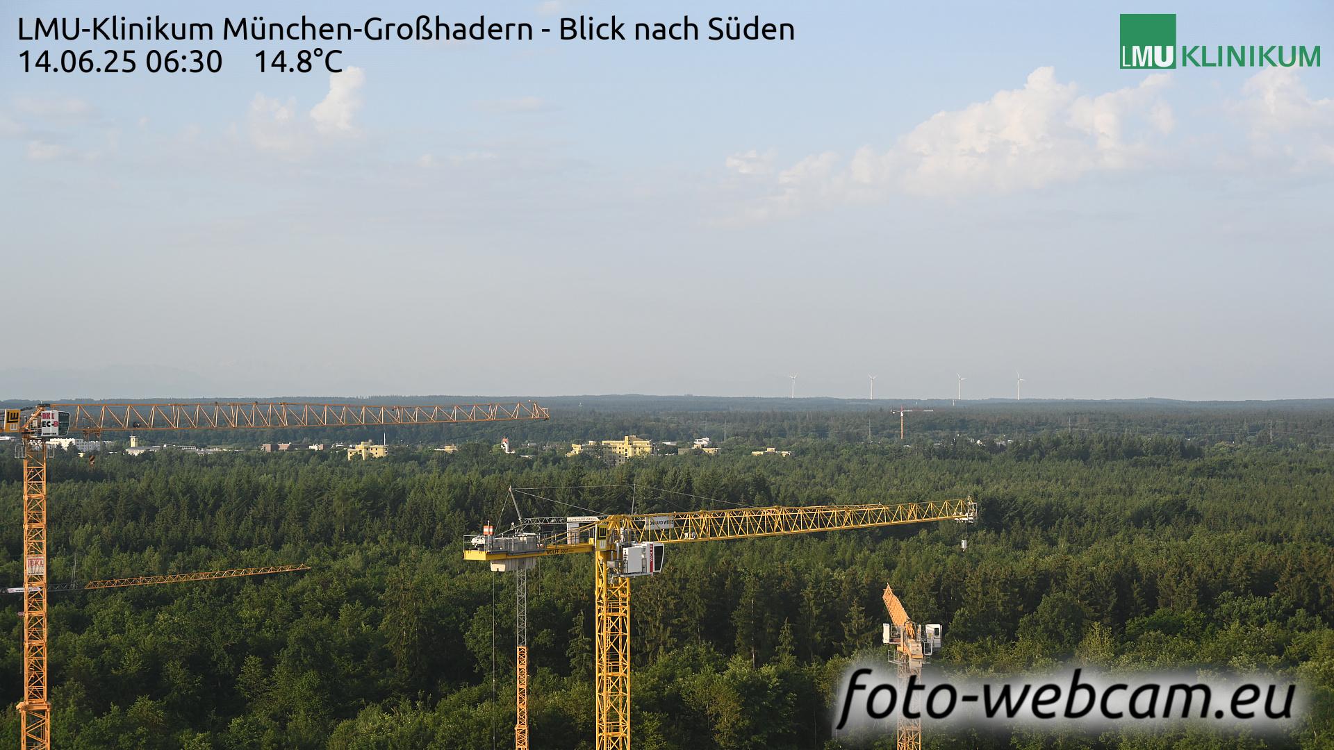Lochham forest Webcam