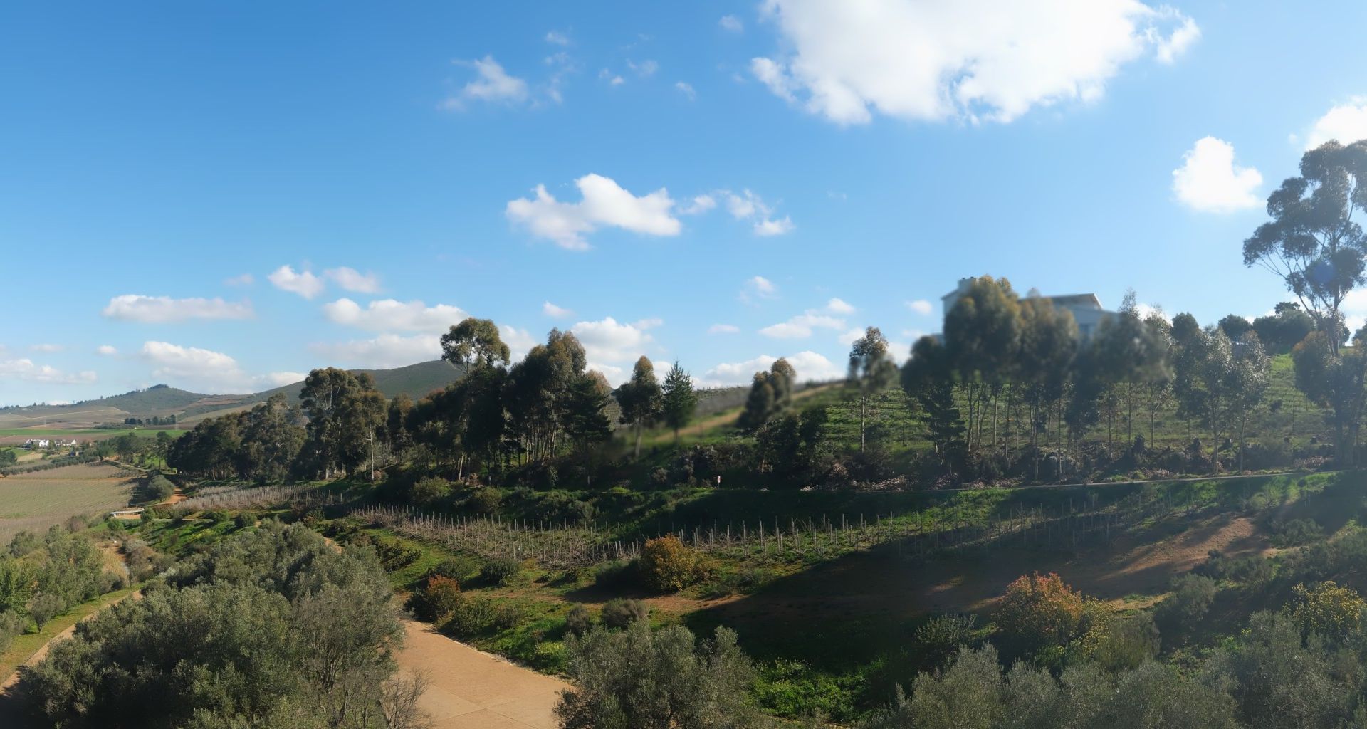 Stellenbosch during daytime