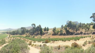 Recent Stellenbosch Webcam Image