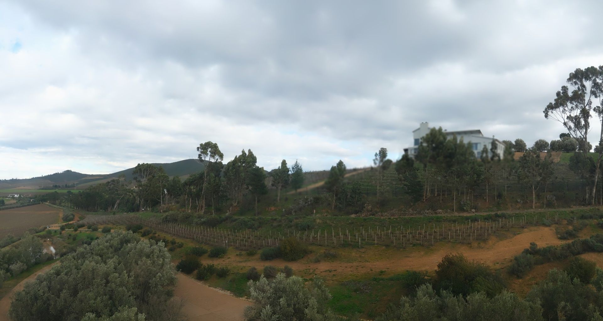 Stellenbosch webcam