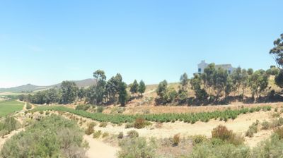 Stellenbosch Daytime Webcam Image