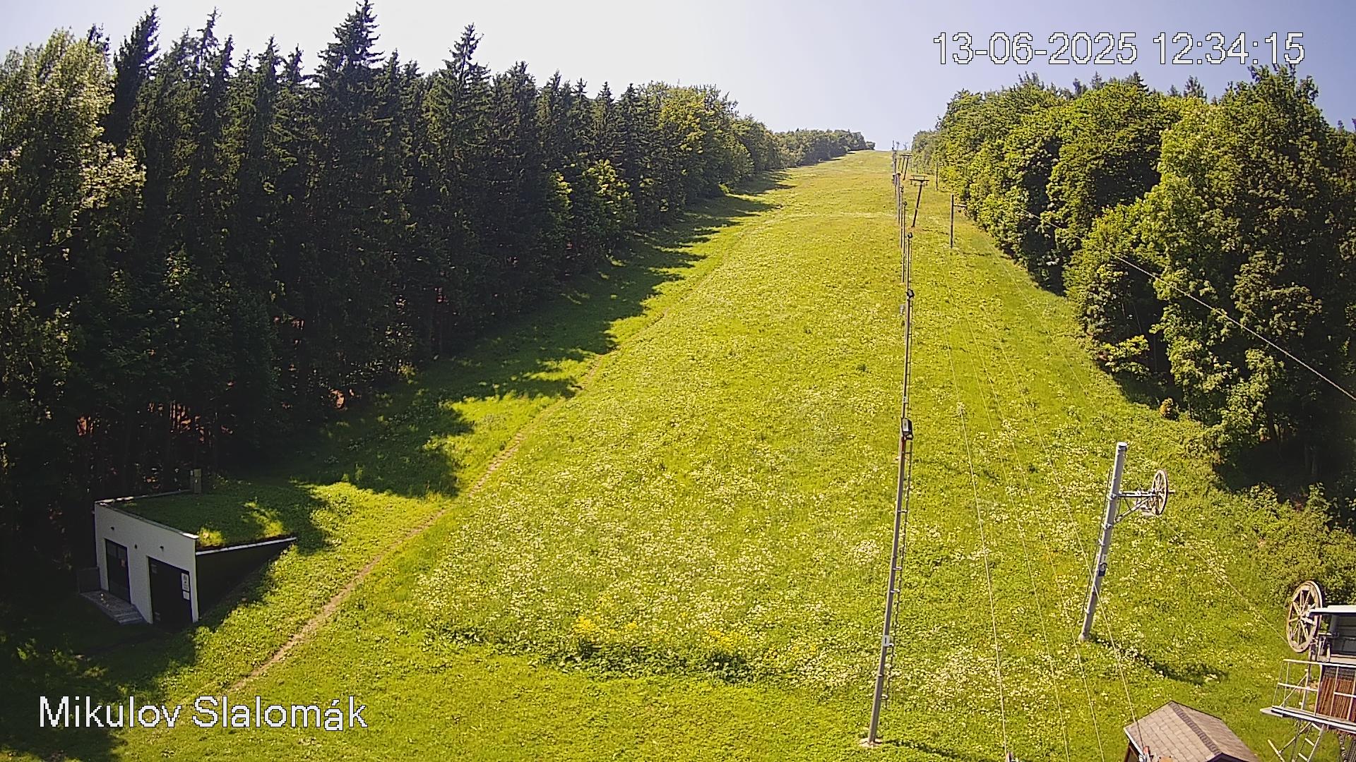 Unterwurschnitz forest Webcam