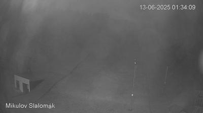 Unterwurschnitz forest webcam