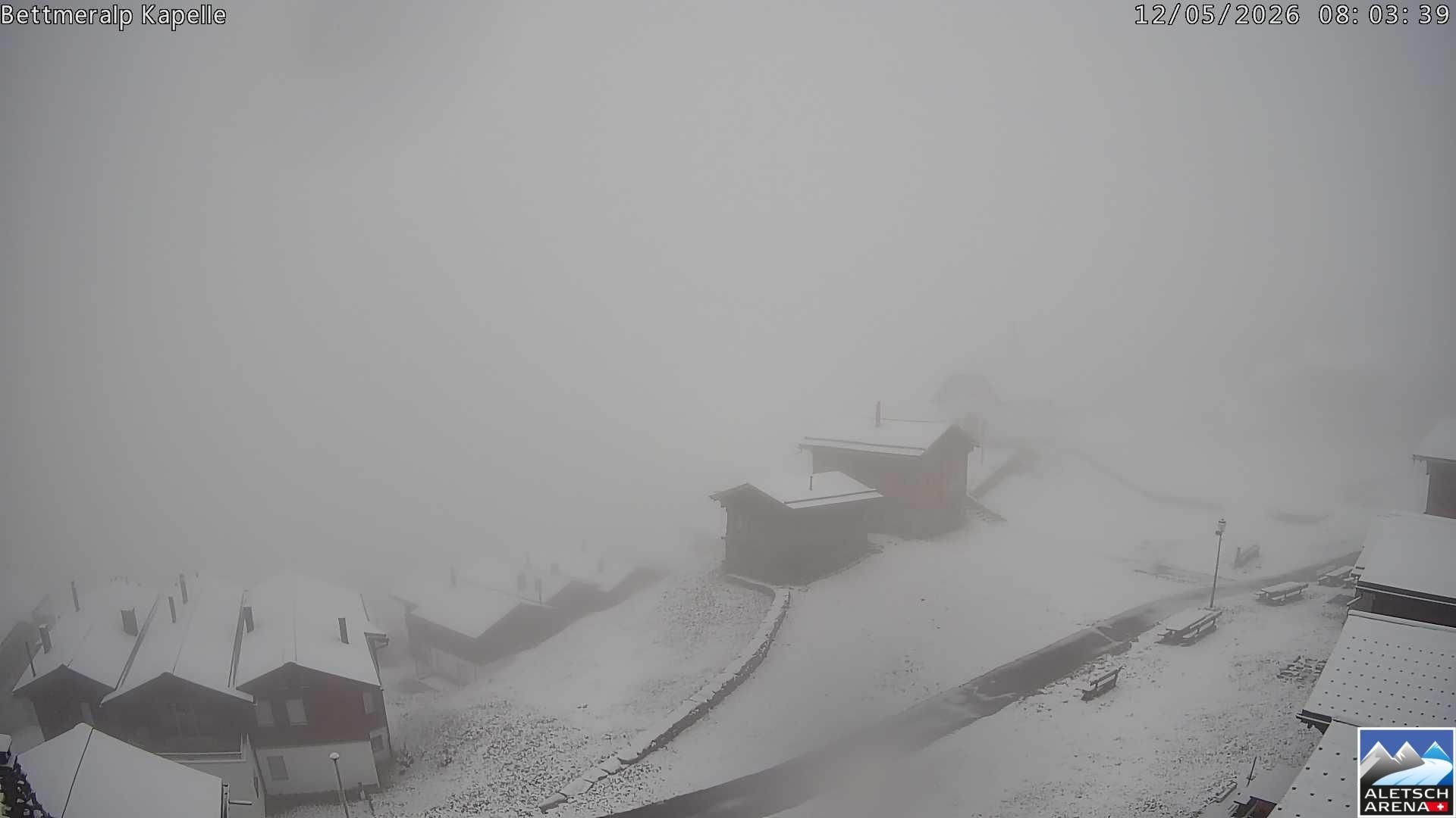 Bettmeralp