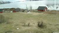 Bjerknes › South: Husjord